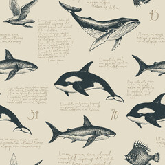 Seamless pattern with handwritten latin text Lorem ipsum and various hand-drawn fishes. Vector repeating background in vintage style, suitable for wallpaper, wrapping paper, fabric © paseven