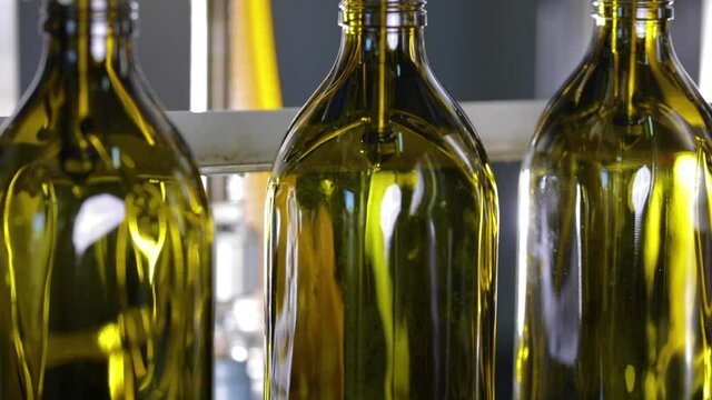 Riempimento bottiglie di olio extra vergine di oliva