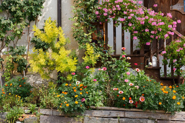 Fototapeta na wymiar Flowers Decorating the Facade of a Country House