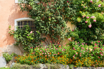 Fototapeta na wymiar Flowers Decorating the Facade of a Historic Building