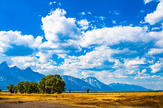 Jackson Hole, WY