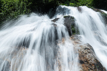 Fototapeta premium splash