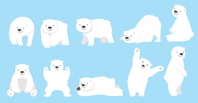 Cute Polar bear funny character cartoon set