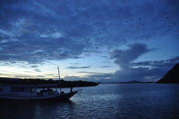 boat at sunset, Jordan, bats