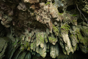 福岡県 千仏鍾乳洞