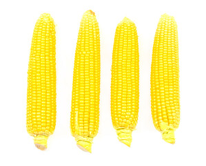 Four heads of corn isolated on white background.