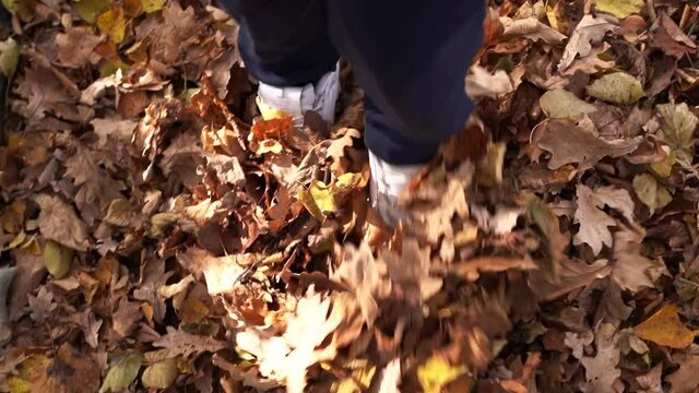 Woman shoes in fallen autumn leaves. Step to step concept. Feet in shoes stepping on fallen leaves. Autumn onset concept.