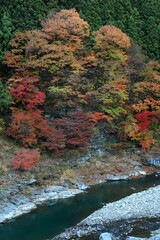 奥秩父の紅葉