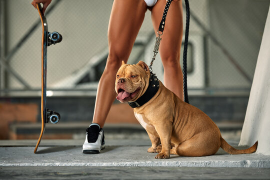 Sexy and srong brunette woman posing with bully dog on city street, crop shot