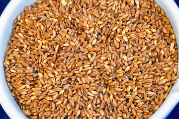 A bowl of ripe durum wheat grains with center focus.