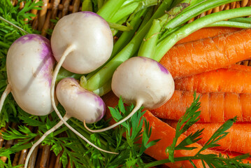 navets et carottes à  cuisiner