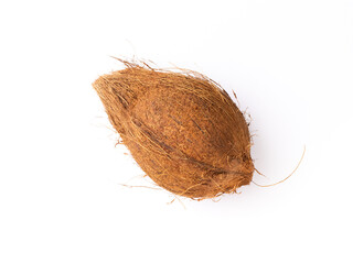 Fresh Coconut isolated stock image.