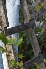 wooden ladder near a tree in the garden