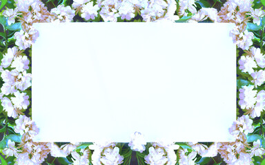 white small roses frame with blank empty space