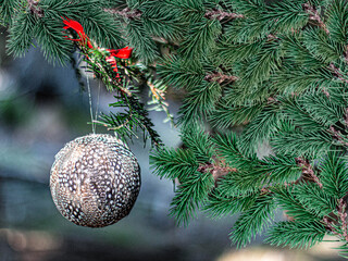 Ornement de Noël dans des branchages de sapin.