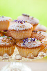Outdoor studio photo of fresh lavender muffins on a glass plate with bright vivid background. Shallow depth of field, selective focus.