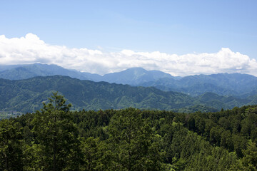 Fototapeta na wymiar 高尾山からの眺め