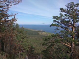 Obraz premium lake in the forest