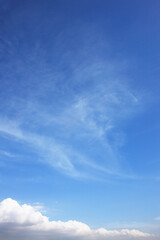 Obraz premium 青空