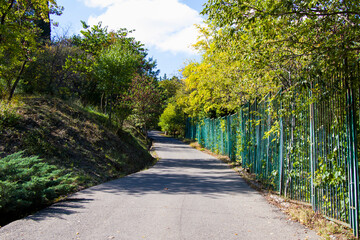 Obraz premium Tbilisi Botanic garden, way, trees and plants, sunlight and shadows