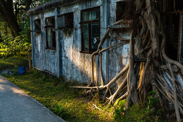 香港　ランタオ島の心経簡林へ向かう道にある廃墟