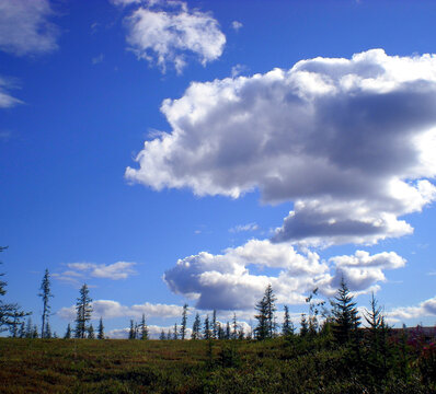 Blue sky with clouds over taiga. The nature of the Russian north.