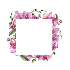 Watercolor square frame with pink orchids. Hand painted tropical border with flowers, leaves and buds isolated on white background. Floral illustration for design, print, background.
