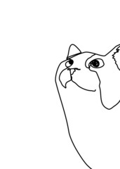Cat continuous line drawing ,Hand drawn minimalism style vector illustration