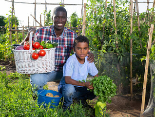 Fototapeta premium Portrait farmer and son with harvest of tomatoes, bell pepers and parsley from the garden. High quality photo