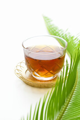 ガラス器の麦茶と蘇鉄の新芽