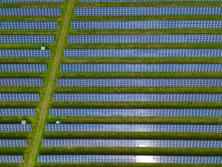 Solar power farm with long rows of modern solar panels on a grass field. Aerial view. © henjon