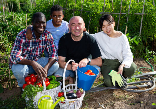 Cheerful international family with harvest of vegetables on the plantation. High quality photo