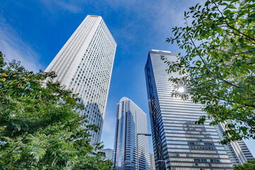 新宿の高層ビル群と青空と木