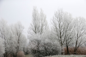 The Ziegeleipark in Heilbronn, Germany