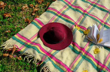 Checkered blanket with fringes, red fedora, and open book on green grass with yellow fallen leaves....