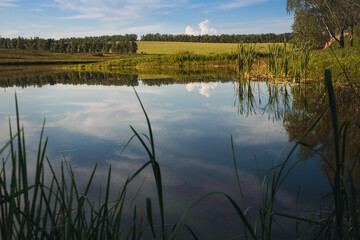 Beautiful village landscape with lake, green leaves, tree branches and reeds