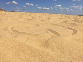 sand dunes in the desert