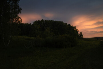 Fototapeta premium Beautiful red fan clouds in the night sky near the forest