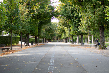 Fototapeta premium Avenue in Augarten Park in Vienna (Austria) on a nice sunny autumn day