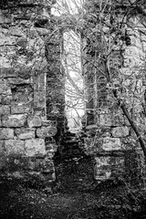 Old Castle Ruins in an English woodland