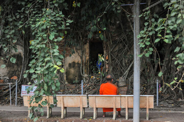 The Backside of Monk sat on a chair near the ancient church that covering by bodhi root three at Wat Bang Kung Temple in Samut Songkhram province,Thailand 