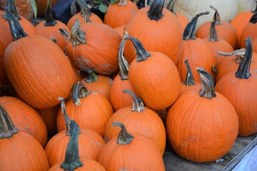 Pumpkins on a stand for sale