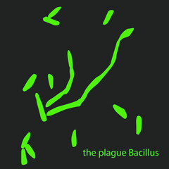 plague Bacillus under a microscope, plague, viruses and bacteria isolated on a black background. Bacillus Anthracis, pathogen. Rod-shaped, gram-positive bacteria. Microbiology.