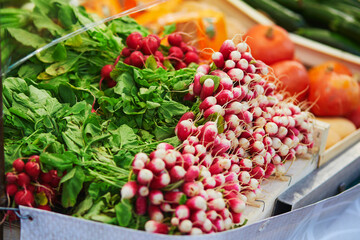 Large heap of fresh ripe organic radish on farmer market in Paris