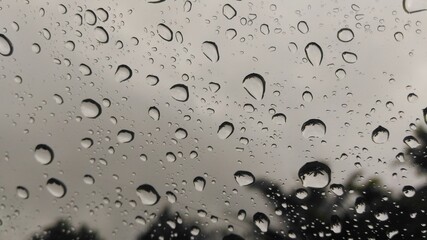 Rain drops on the windshield.