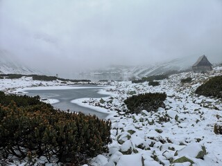 An abandoned mountain hut used for pasture. Dolina Pięciu Stawów Polskich Valley, Poland. © juste.dcv