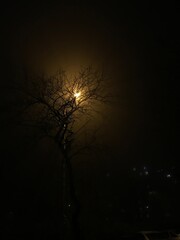 Obraz premium Night city
