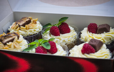 raspberry chocolate cake with whipped cream