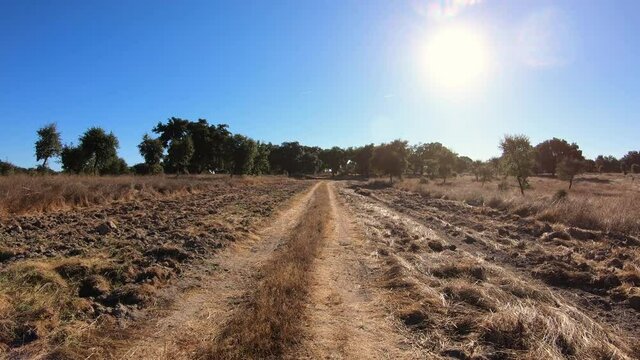 dolly move forward - rural path on a plowed land next to Flor da Rosa village, municipality of Crato, Portalegre district, Alentejo, Portugal