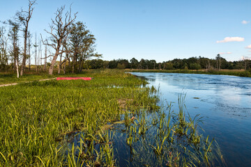 River Gudenaa at Fall
